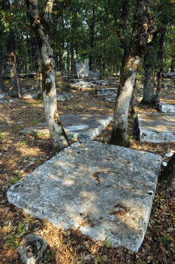 Prahistorijski tumulus i nekropola sa stećcima Grebnice – Bunčići u selu Radmilovića Dubrava, povijesno područje